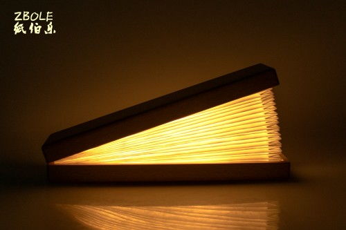 紙伯樂節慶用品訪談回顧,特殊外觀設計展現燈具別樣魅力