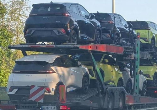 全球電動汽車市場格局劇變 特斯拉痛失冠軍寶座，中國車企強(qiáng)勢逆襲